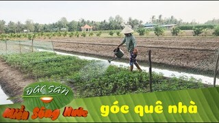 Những góc nhỏ miền Tây mà ai cũng nhớ | Đặc sản miền sông nước