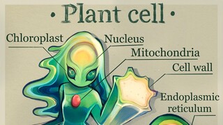 "Plant Cell" Art Enrages Twitter...