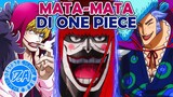 10 Agen Ganda/Mata-Mata Terbaik di One Piece