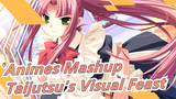 Let's Enjoy a Visual Feast Brought By Taijutsu! Earphones Recc. | Animes Mashup