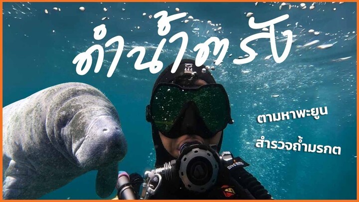 The Master Scuba Club EP.27 | ดำน้ำตรัง เกาะกระดานชายหาดที่สวยที่สุดในโลก ตามหาพะยูน สำรวจถ้ำมรกต