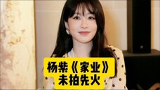 杨紫《家业》未拍先火,再次登顶待播榜首,杨紫李祯值得期待!