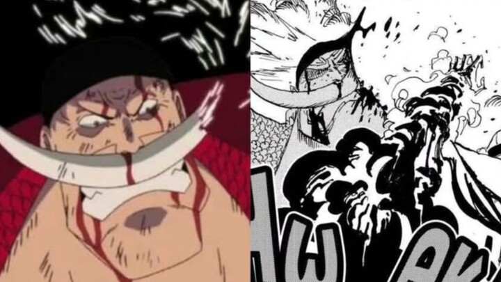 One Piece! Animasi VS komik! Animasinya jauh lebih santai~ Sikap persahabatan internasionalnya harmo