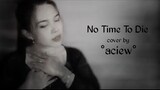 Billie Eillish - No Time To Die (cover by aciew)