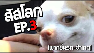 สัสโลก ep 3 พากย์นรก ฮาเกต Pet Talk