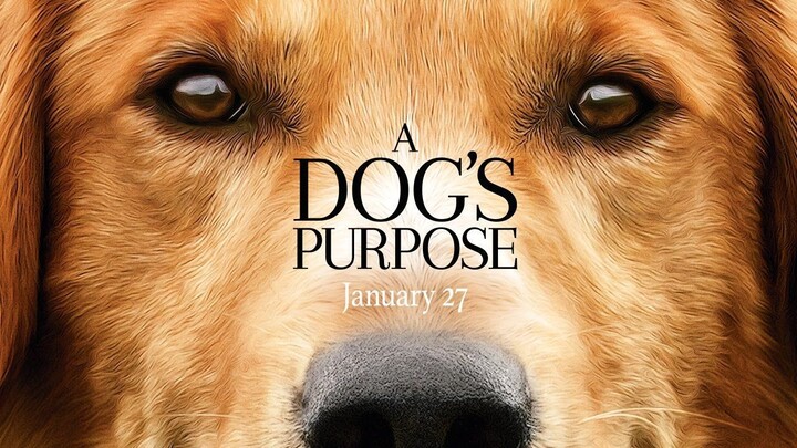 A Dog's Purpose (2017) Subtitle Indonesia