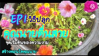 คุณนายตื่นสาย||แพรเซี่ยงไฮ้ !..จุดเริ่มต้นของความงาม วิธีสร้างคอนโดคุณนาย