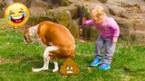 Videos De Risa de Animales - Perros Graciosos - Lindo bebé jugando con perros chistosos #5