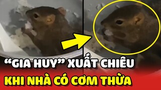 Công dụng của chú sóc GIA HUY khi nhà có CƠM THỪA 😂 | Yêu Lu