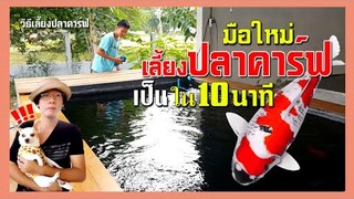 วิธีเลี้ยงปลาคาร์ฟสำหรับมือใหม่ l คุณพ่อคราฟ EP.55