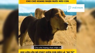 "Đường về nhà của cún con "P1