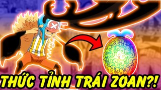 Thức Tỉnh Sức Mạnh Trái Zoan?! | Sự Thật Thú Vị Về Trái Zoan Trong One Piece