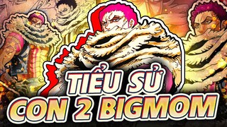 ONE PIECE | CHARLOTTE KATAKURI - YÊU ĐẤM NHAU THÍCH ĂN BÁNH DONUT!