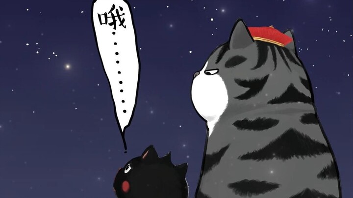 Can you really touch the stars? [My Royal Cat]