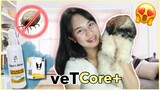 MABISANG PANTANGGAL NG GARAPATA | VetCore Plus Review