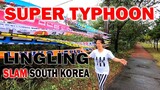TYPHOON LINGLING slam south korea LATEST UPDATE