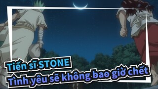 Tiến sĩ STONE|Tình yêu sẽ không bao giờ chết