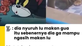 Tom and Jerry in real life#zaintemanime #fyp #lucu #kucing #reaction #reactionvideo #jowo #wongjowo