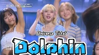 Dolphin Universe Ticket Performance