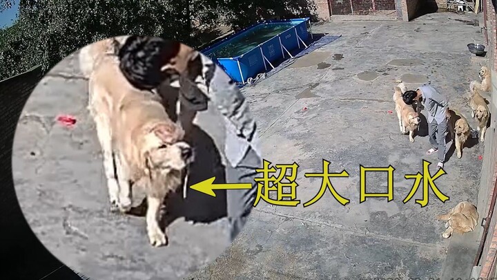 钙片：你越反抗，我就越兴奋！