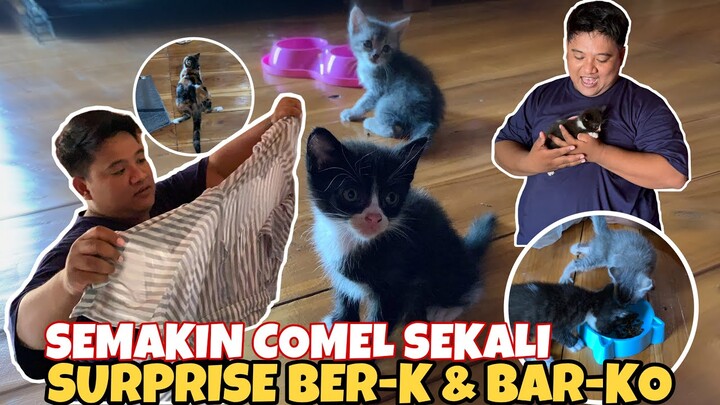 KEJUTAN BUAT KESAYANGAN TERIMAKASIH BANYAK