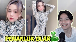 NONTON TIKTOK FULL SENYUM