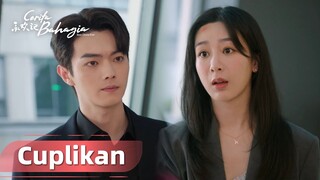 Best Choice Ever | Cuplikan EP14 Urusan Mai Chenghuan Adalah Urusanku | WeTV【INDO SUB】