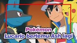 [Pokémon] Pahlawan gelombang Lucario bertemu Ash lagi