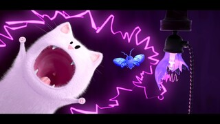 【国际获奖动画短片】小猫咪和扑棱蛾子把动画玩出了花