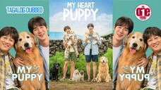 My Heart Puppy - Tagalog Dubbed Full Movie HQ