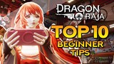 DRAGON RAJA ULTIMATE NEWCOMER GUIDE!! Top 10 Beginner Tips!