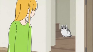 [Chinese and Japanese subtitles] A Night with Cats/Every Night with Qiuqiu Season 3 Night 76 "Jia Mi