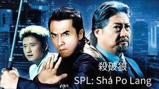 🇭🇰  殺破狼  SPL: Sha Po Lang (a.k.a. Kill Zone)  (2005)