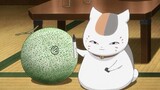 Shibata: Apa kucing jelek itu tadi berbicara dengan suara pamannya? Natsume, lari, dia dirasuki mons