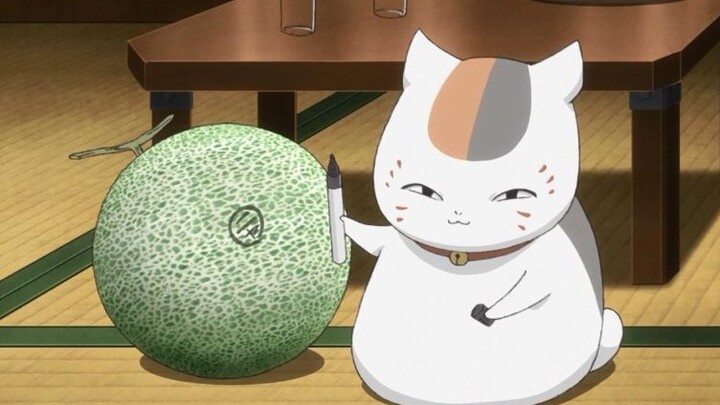 Shibata: Con mèo xấu xí vừa rồi nói giọng ông chú phải không? Tsume, chạy đi, nó bị quái vật chiếm h