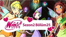 Winx Club - Sezon 2 Bölüm 25 - Düşmanla Karşı Karşıya