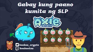 Axie Infinity - SLP Farming Guide