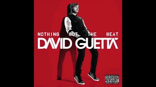 David Guetta - Where Them Girls At