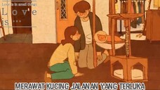 Kedua Pasangan Ini Berusaha Menyelamatkan Dan Merawat Kucing Jalanan |Love Is In Small Things Part 4