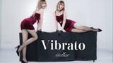 Cover Tari Stellar - Vibrato