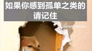 [emo了吗？治愈一下]趁我们头脑发热我们要不顾一切，跳进深渊的深处管他天堂和地狱