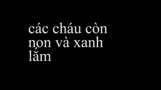 các cháu tuổi #vitaming