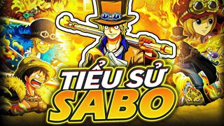 ONE PIECE | SABO LÀ AI? NHÀ MẶT PHỐ, BỐ LÀM TO! QUYẾT ĐỊNH VỀ MO, LÀM QUÂN CÁCH MẠNG