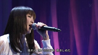 Sakura Ikimonogakari Live tahun 2016