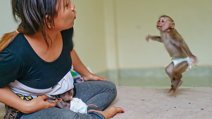 The Happiest Monkey!! Yaya was so happy playing with Mom very funny  Tiny Luca keeps looking at Yaya