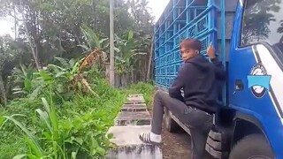 Pigeon racing in the Philippines is not a GAMBLING pls like and follow.team ERPC