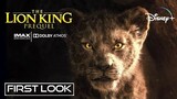LION KING 2 : The Prequel (2025)- Everything We Knows So Far