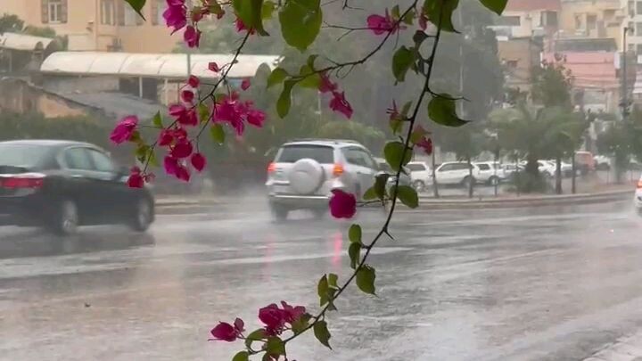 lonely rainy days🥶