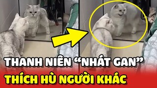 Quả báo cho thanh niên mèo NHÁT GAN nhưng thích HÙ người khác 😂 | Yêu Lu