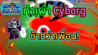 Roblox : Blox Fruits UPDATE 14 ทำเผ่า Cyborg ช้ากว่าใครแบบ 300%